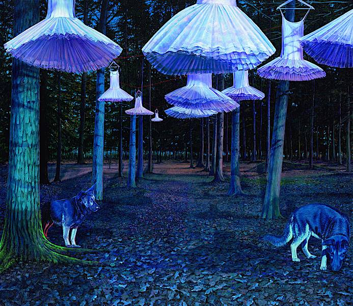 Der seltene Wald