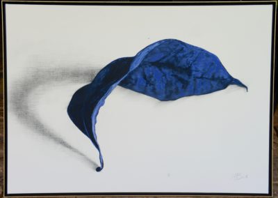 Manfred Bockelmann