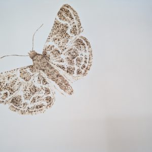 Morituri te salutant