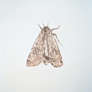 Morituri te salutant