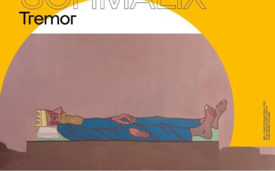 HUBERT SCHMALIX – Tremor im Schlossmuseum Linz