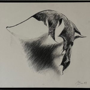 Das Sterben der Blätter