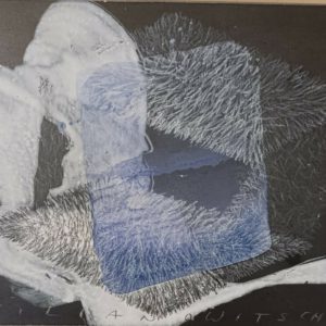 wurzeln der kostbarkeit