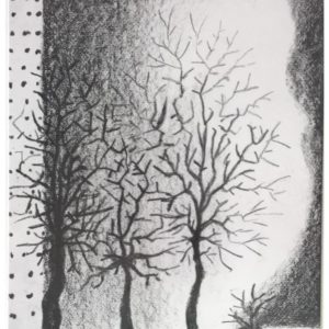 Aus dem Zyklus "Shining Lights"