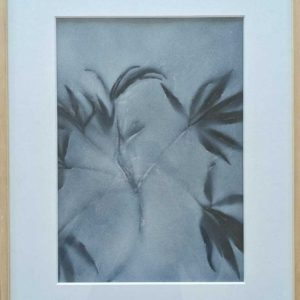 Flores aus der Serie ,,Folia''