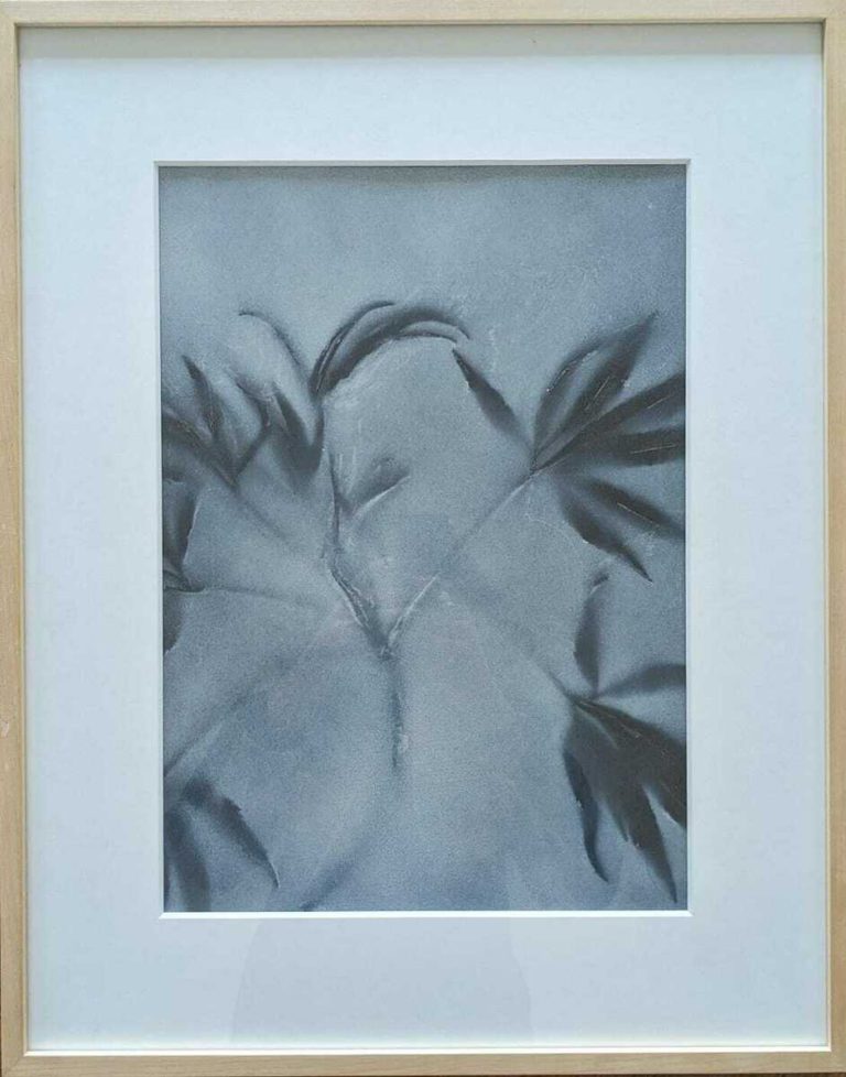 Flores aus der Serie ,,Folia“