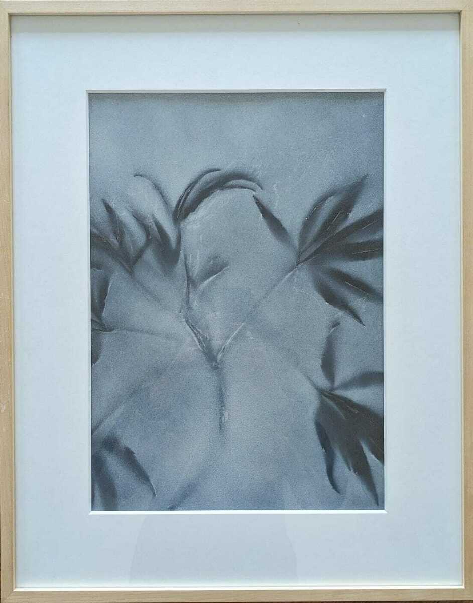 Flores aus der Serie ,,Folia“