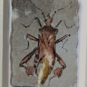 Minibild, Wahrnehmungsfragmente