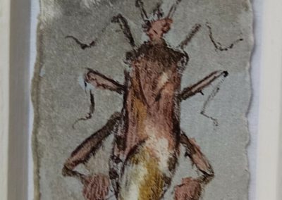 Minibild, Wahrnehmungsfragmente