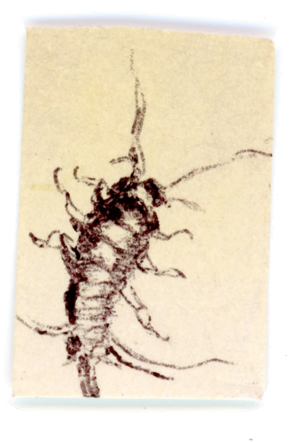 #187