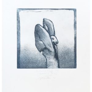 täuschköpfig 3, Protokolle Nr 12