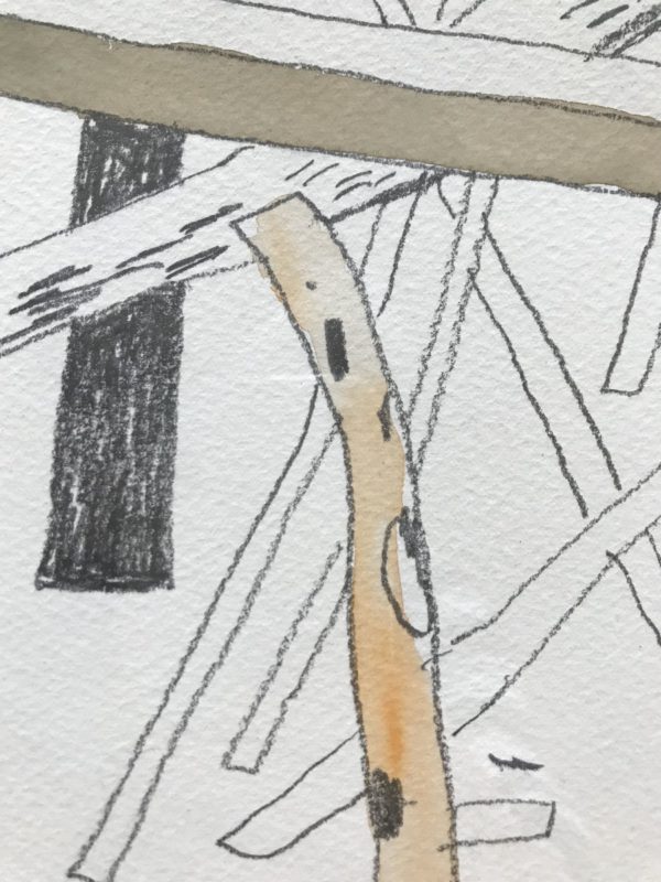 WOODS