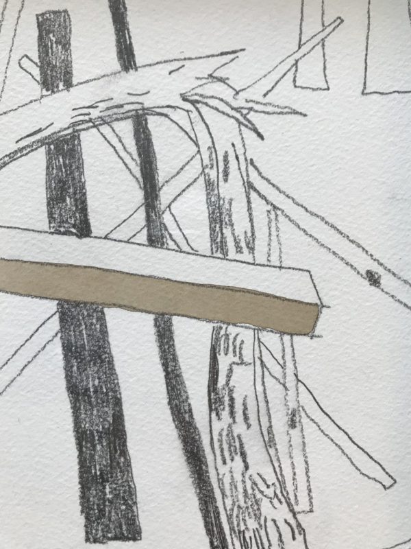 WOODS