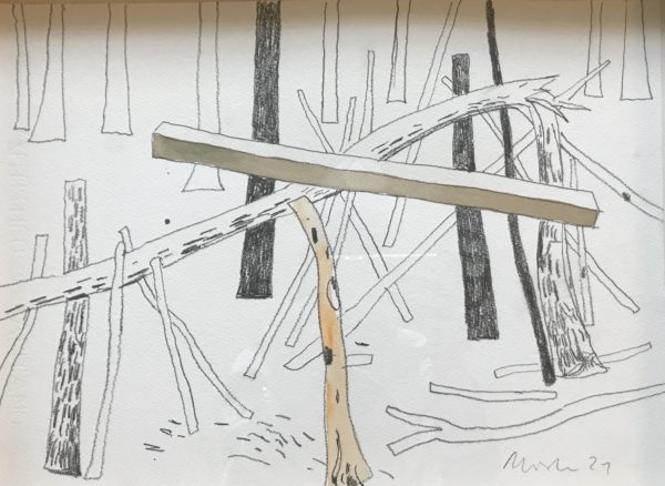 WOODS