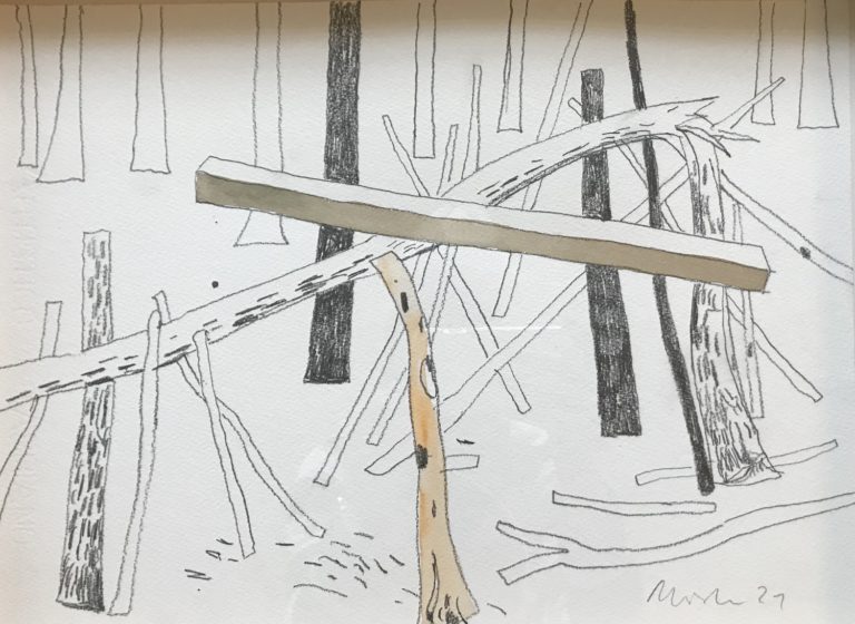 WOODS