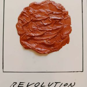 Polaroid 12, Revolution