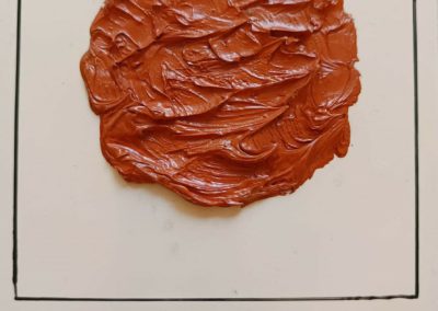 Polaroid 12, Revolution