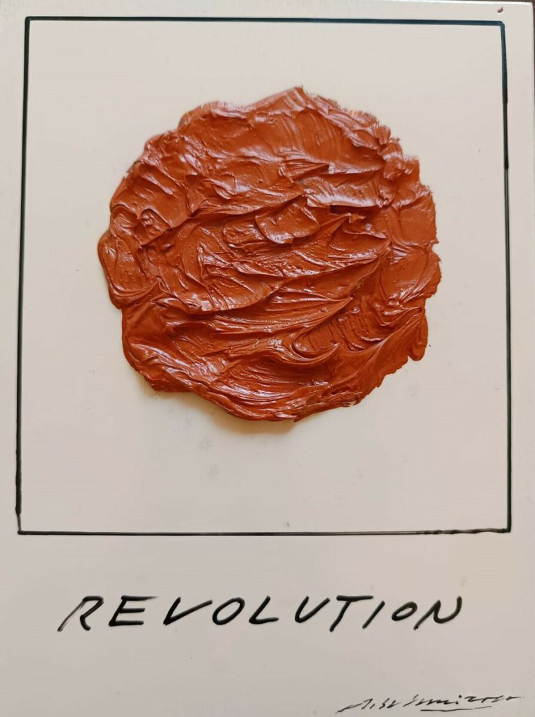 Polaroid 12, Revolution