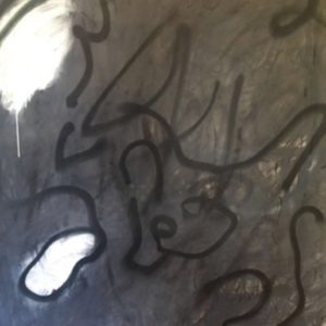 where the firefly live