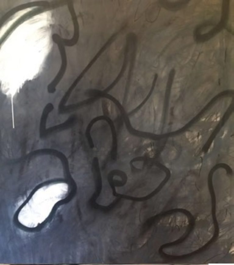 where the firefly live