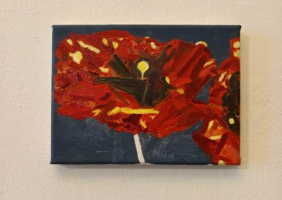 Red Opium Poppies