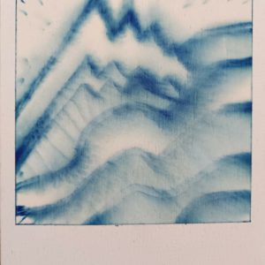 Polaroid 5