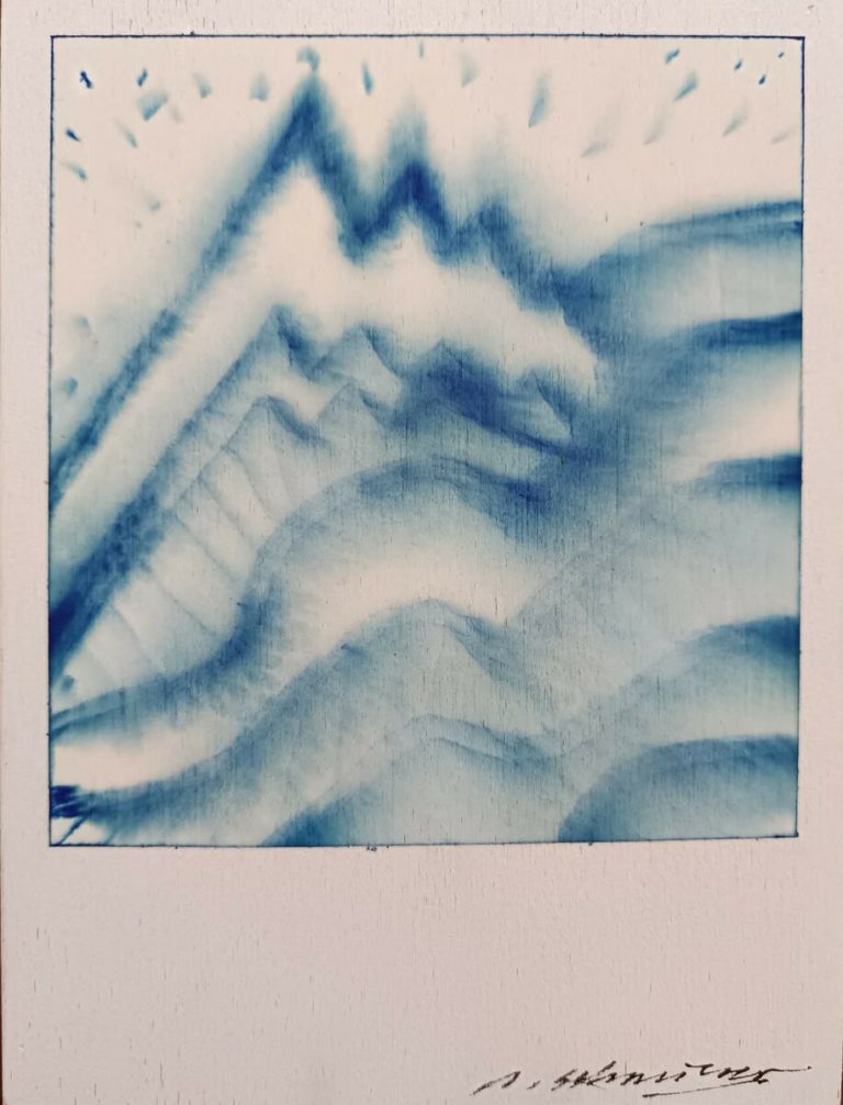 Polaroid 5