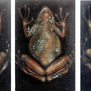 Trifrog - Triptychon jeweils 30 x 20
