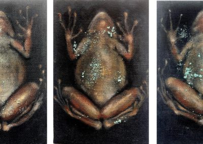 Trifrog – Triptychon jeweils 30 x 20