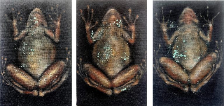 Trifrog – Triptychon jeweils 30 x 20