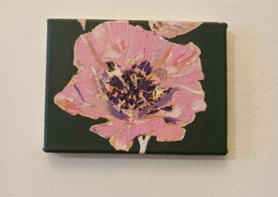 Two Opium Poppies Pink