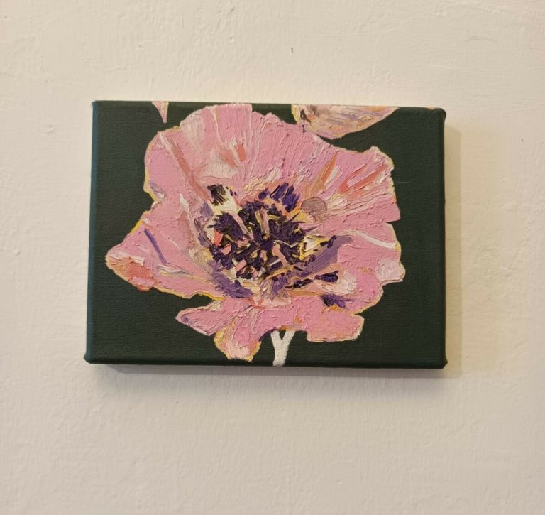 Two Opium Poppies Pink