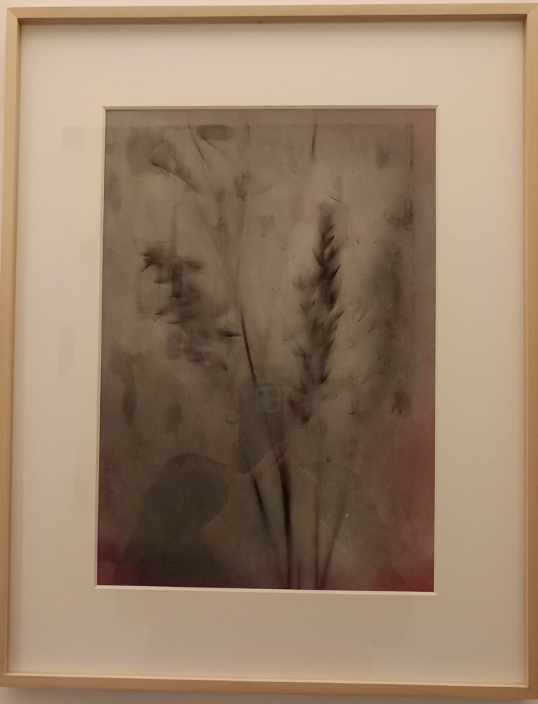 Hafer, aus der Serie „Folia“