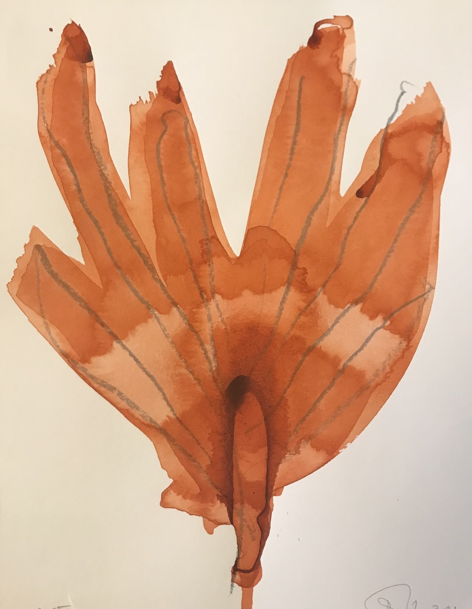 Aus der Serie "Zöpfe"