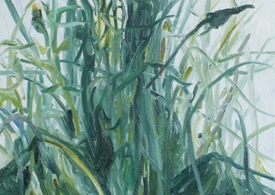 Rasenstück nach A. Dürrer