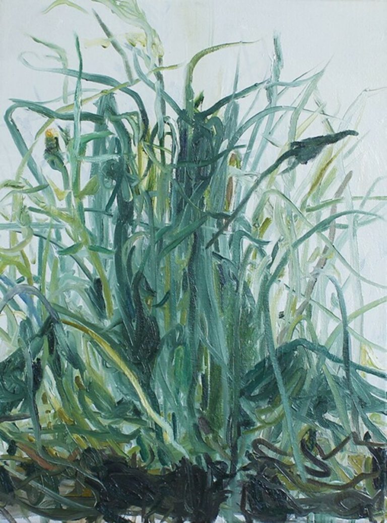 Rasenstück nach A. Dürrer