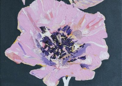 Two Opium Poppies Pink