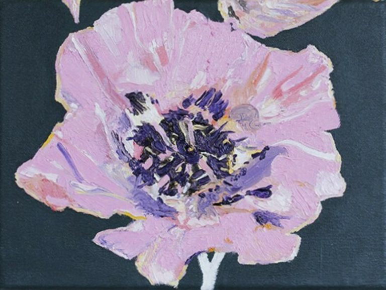 Two Opium Poppies Pink