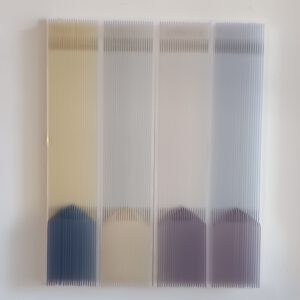 Die Linie bleibt (Alle vier Werke zusammen)