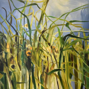 Grün Und Blaue Landschaft