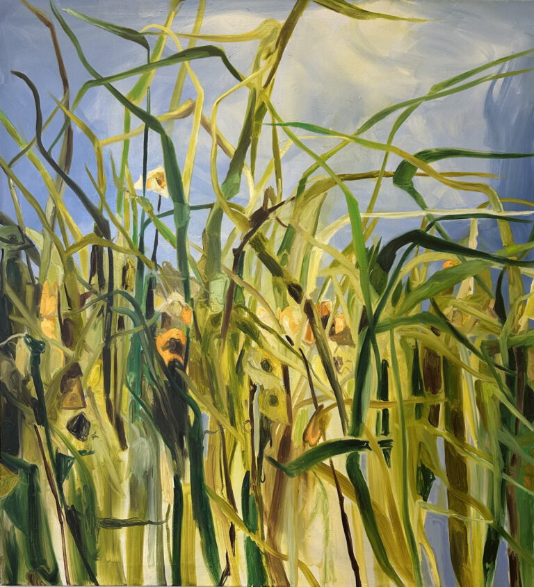 Grün Und Blaue Landschaft