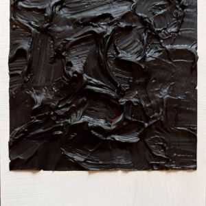 Polaroid 3