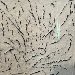 New Artwork