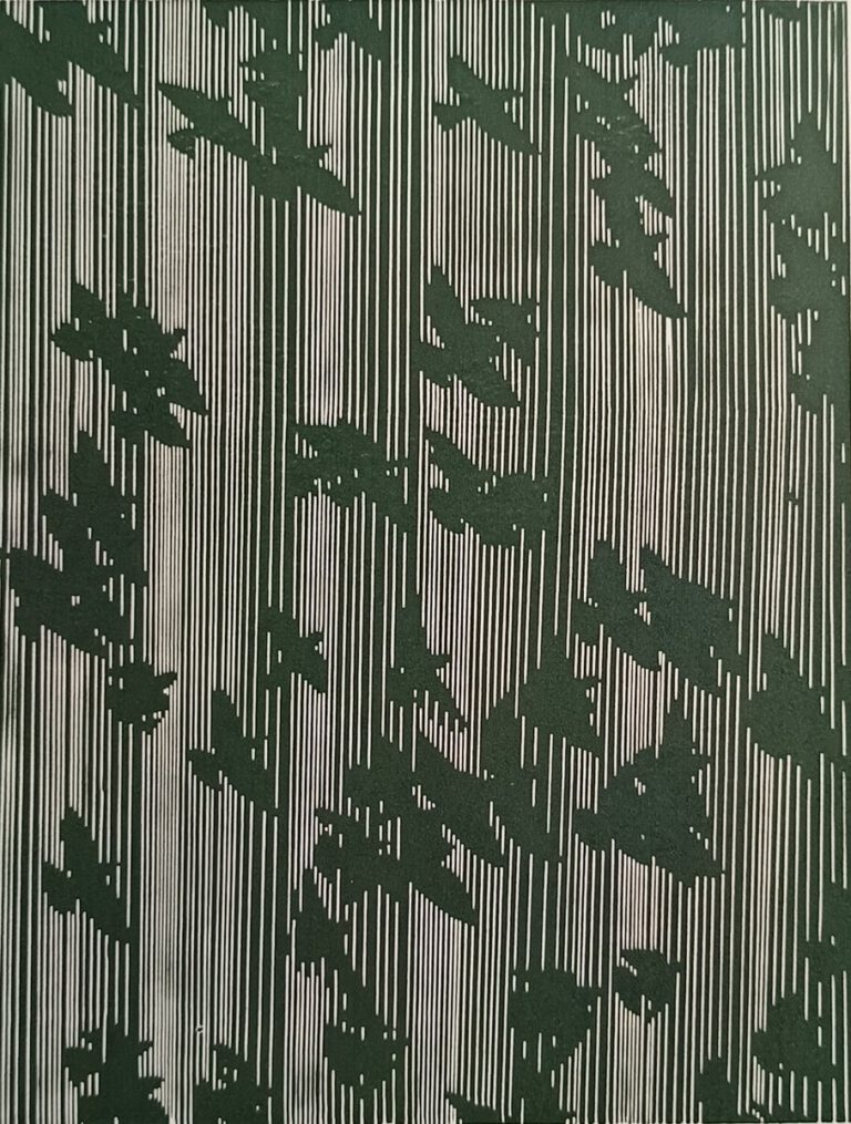 Zug (Schwarz)
