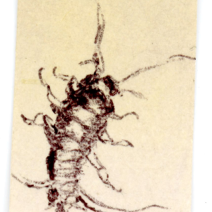 #187