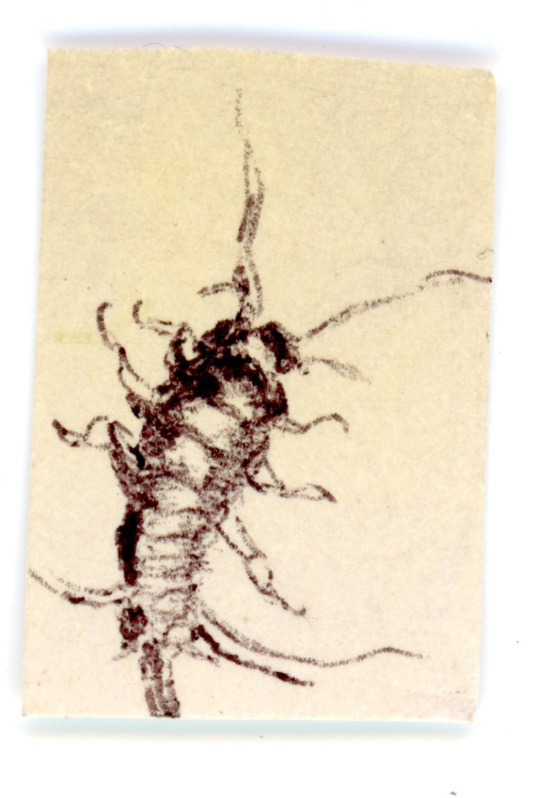 #187