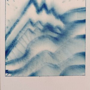 Polaroid 5