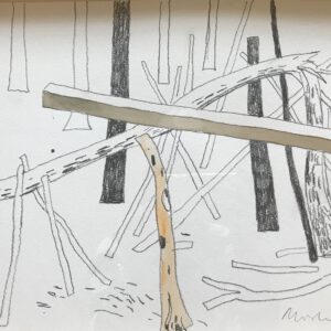 WOODS