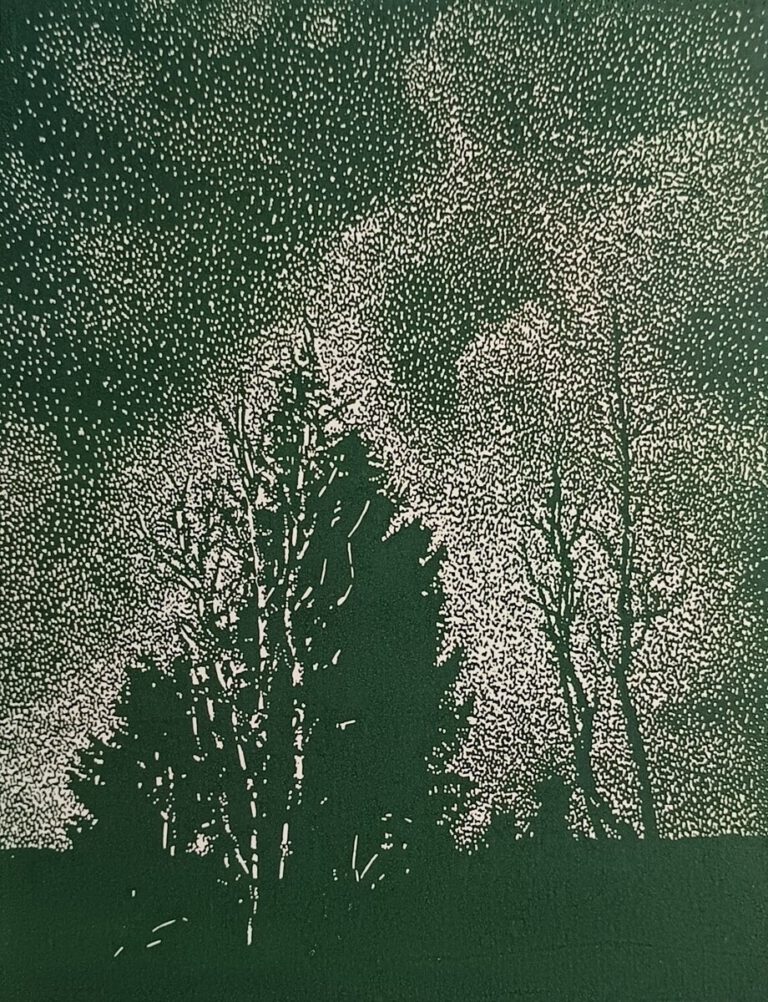 Brio (Waldgrün)
