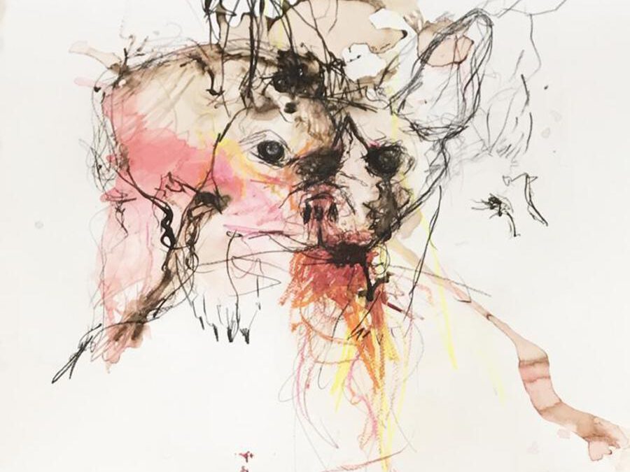 Emma, 2017